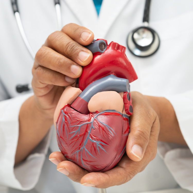 Hastanelere Özel Web Sitesi